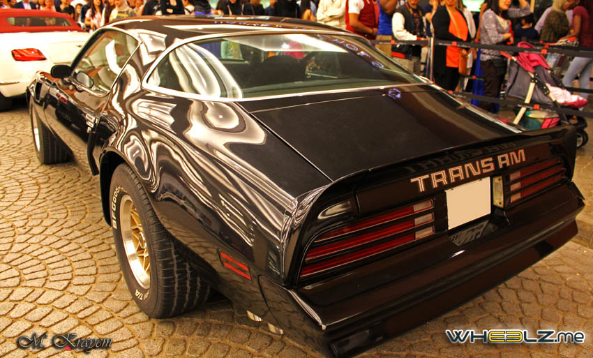 Trans AM (11)