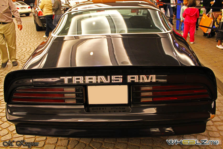 Trans AM (13)