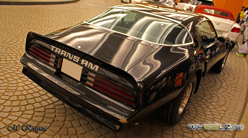 Trans AM (14)