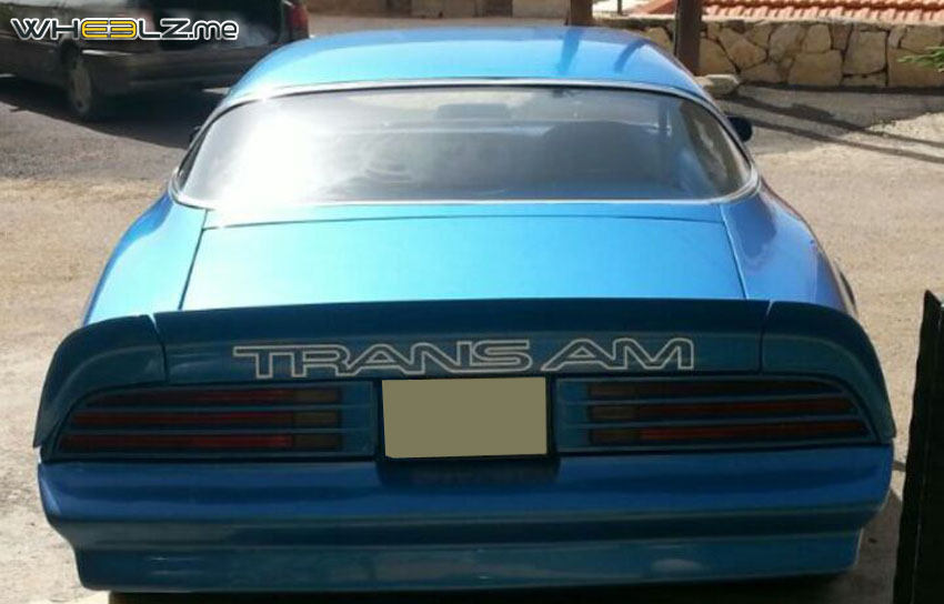 Trans AM (5)