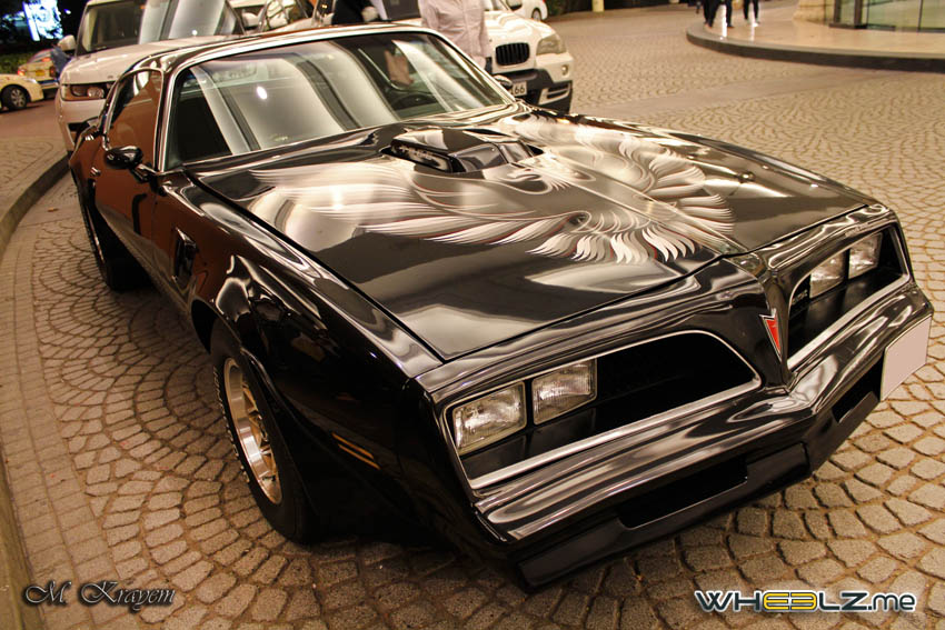 Trans AM (8)