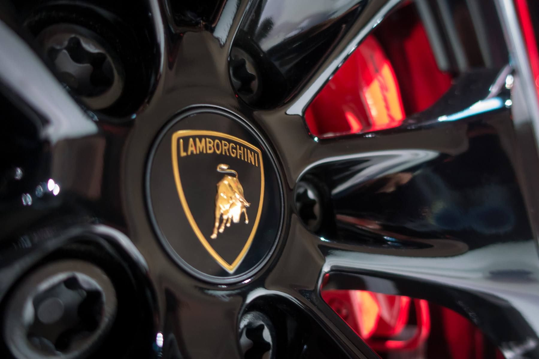 12240286_1271889229503361_1938144782035190661_o