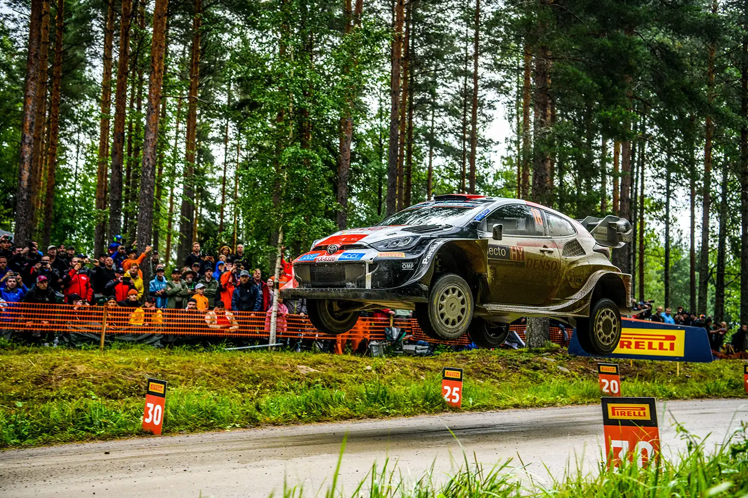 Secto Rally Finland: A Clash of Titans on the Fastest Roads in WRC