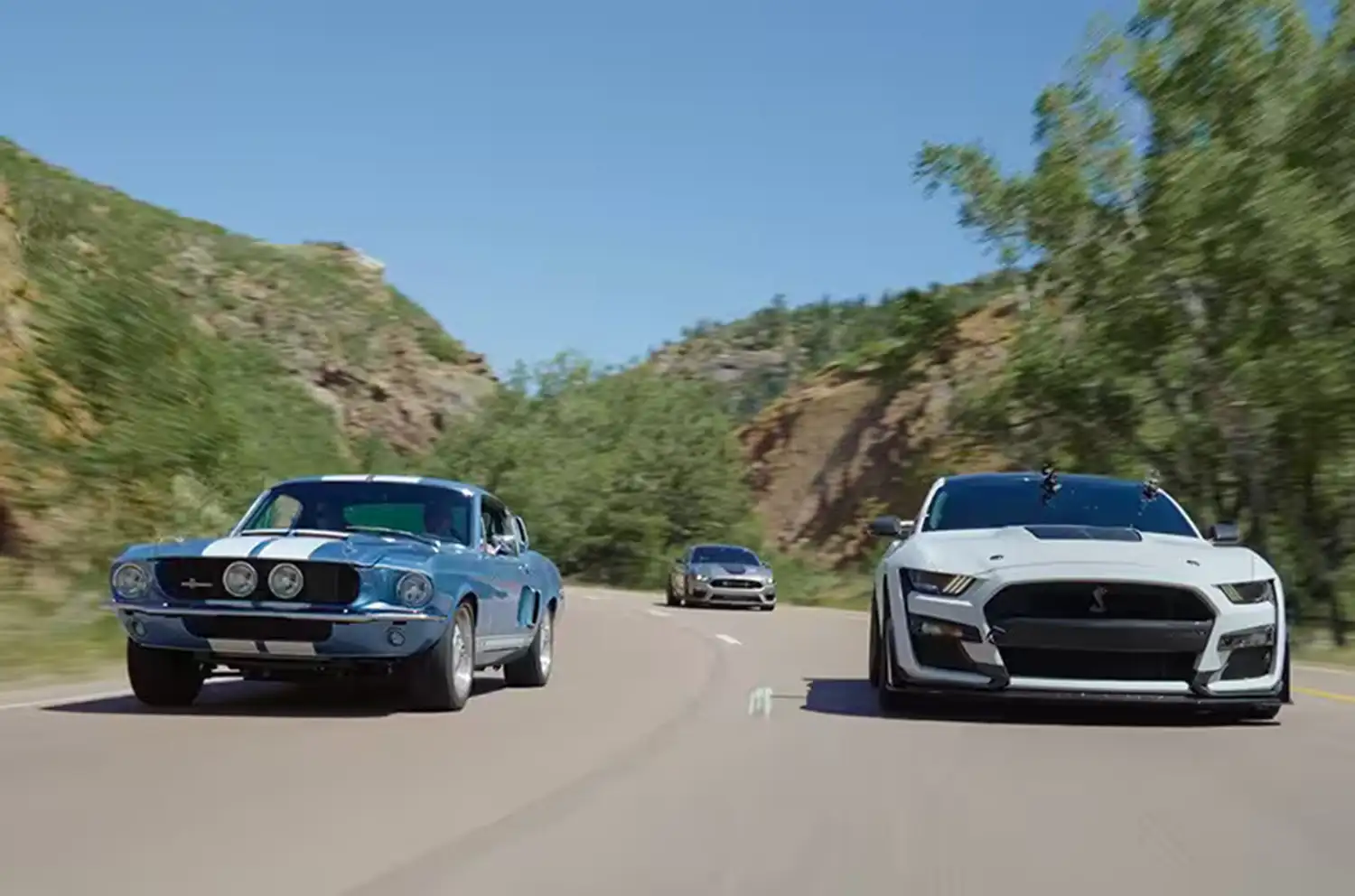 Shelby Enthusiasts Conquer Colorado: Recap of the 2024 Shelby Rally