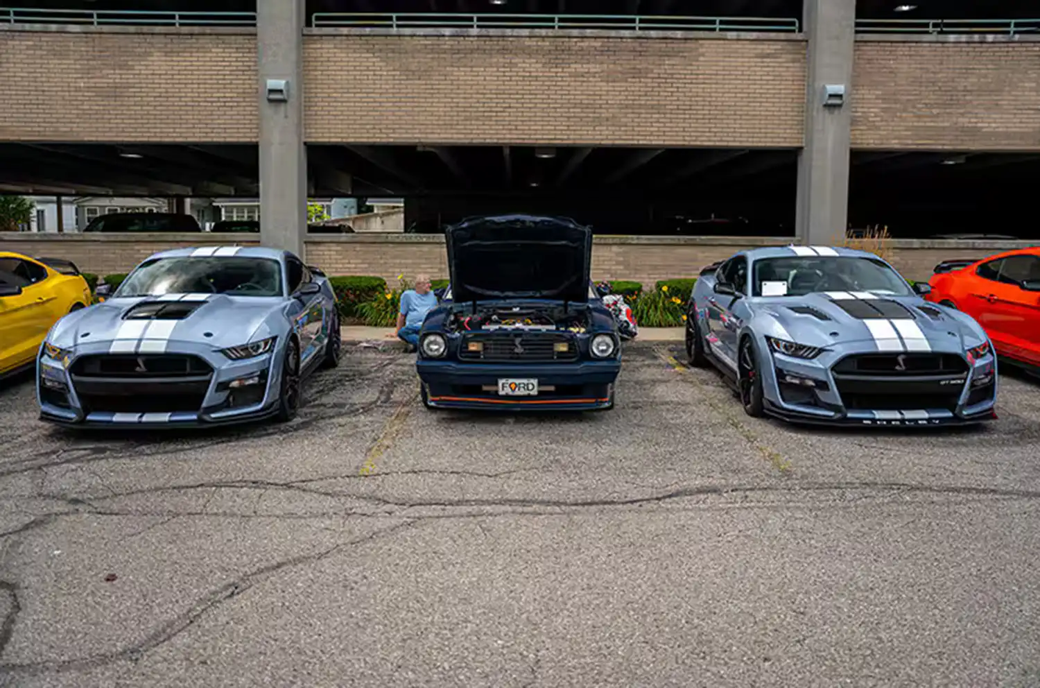 Mustang Alley Shines Bright at the 2024 Woodward Dream Cruise