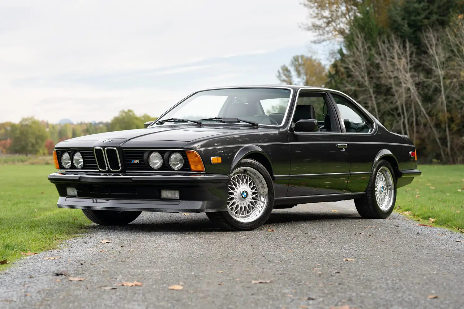 1985 BMW M635CSi: European Elegance Meets Performance