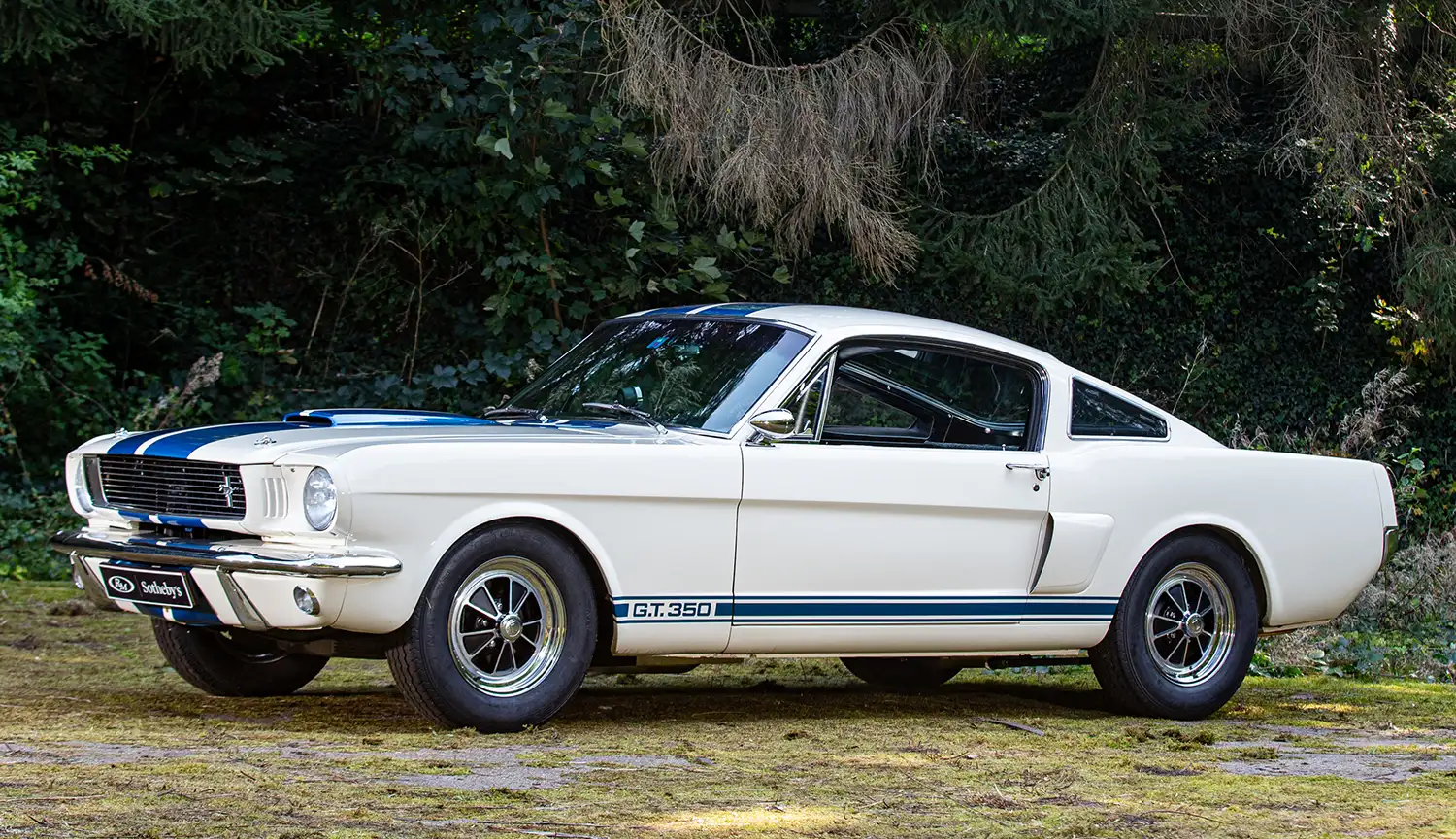 The White Cobra: A 1966 Shelby GT350