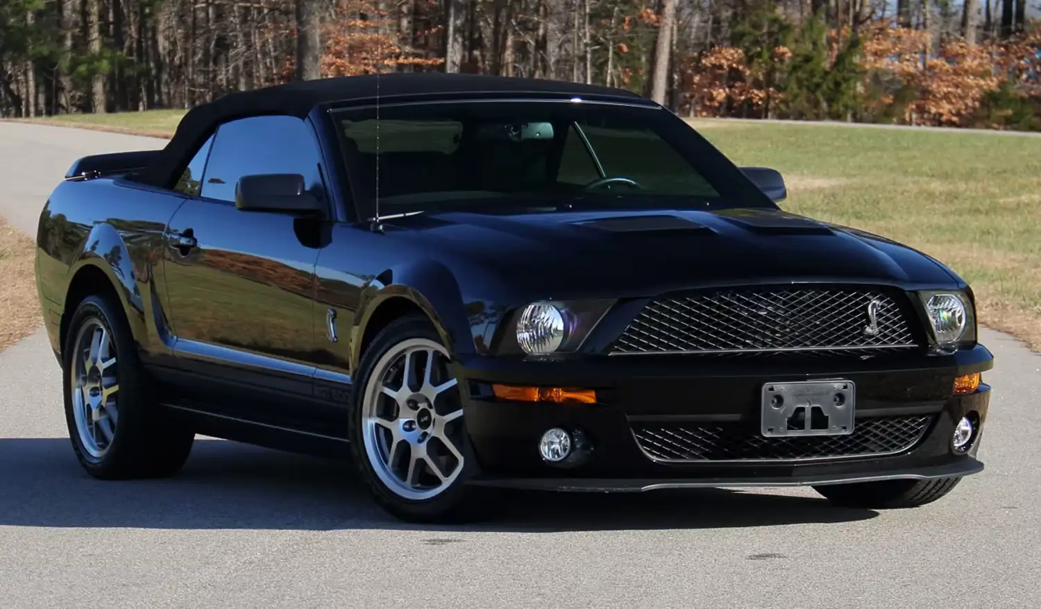 The Serpent Awakens: 2007 Ford Shelby GT500 Convertible