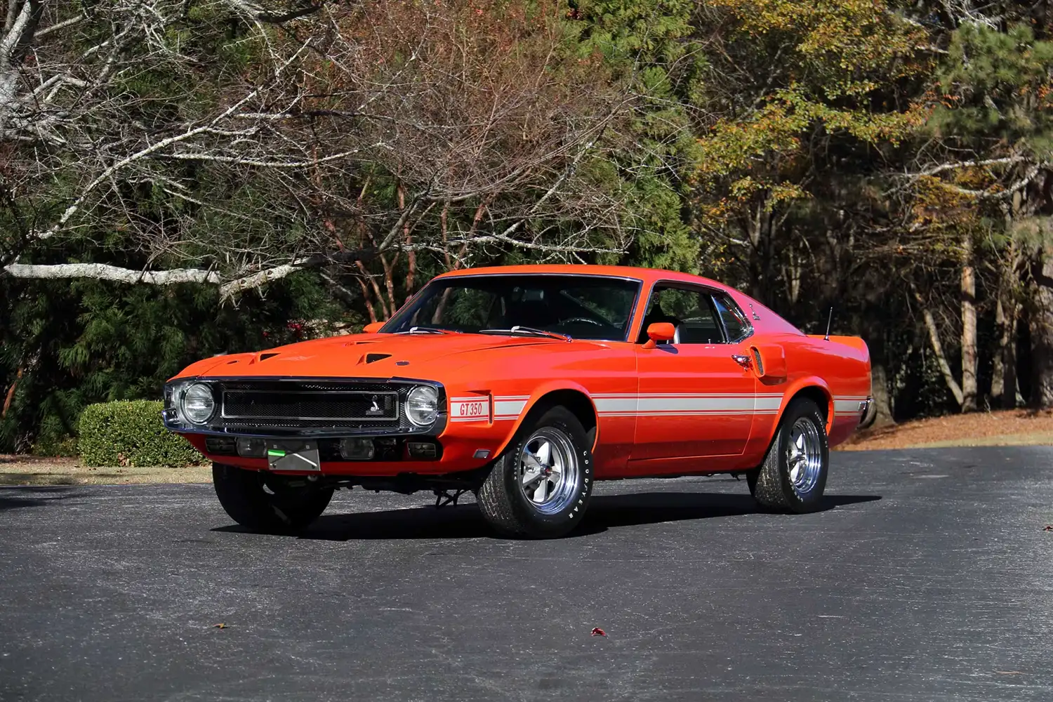 Rare 1969 Shelby GT350 Fastback: A Collector’s Dream