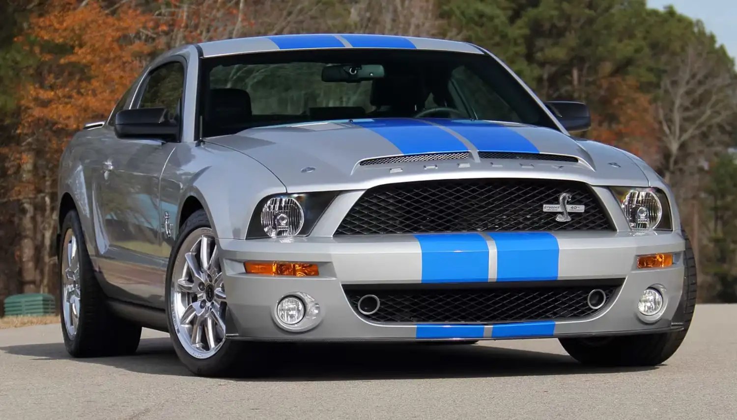 Reign Supreme: 2008 Ford Shelby GT500KR