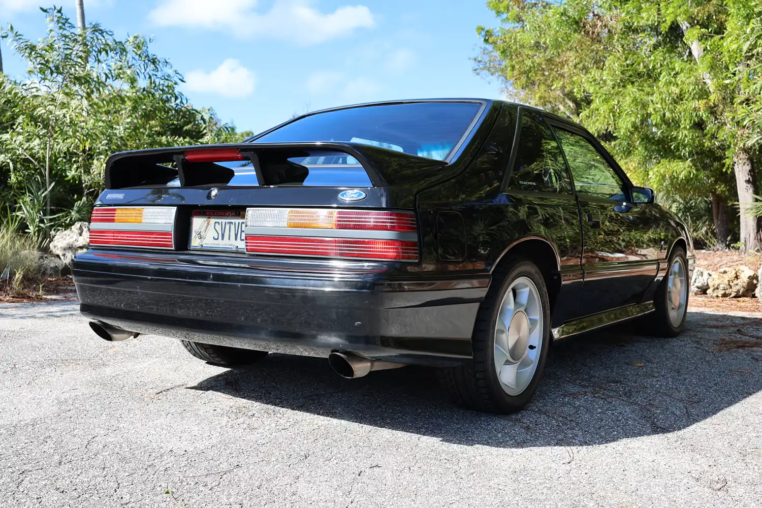 1993 Ford Mustang SVT Cobra: A Bite of the Snake