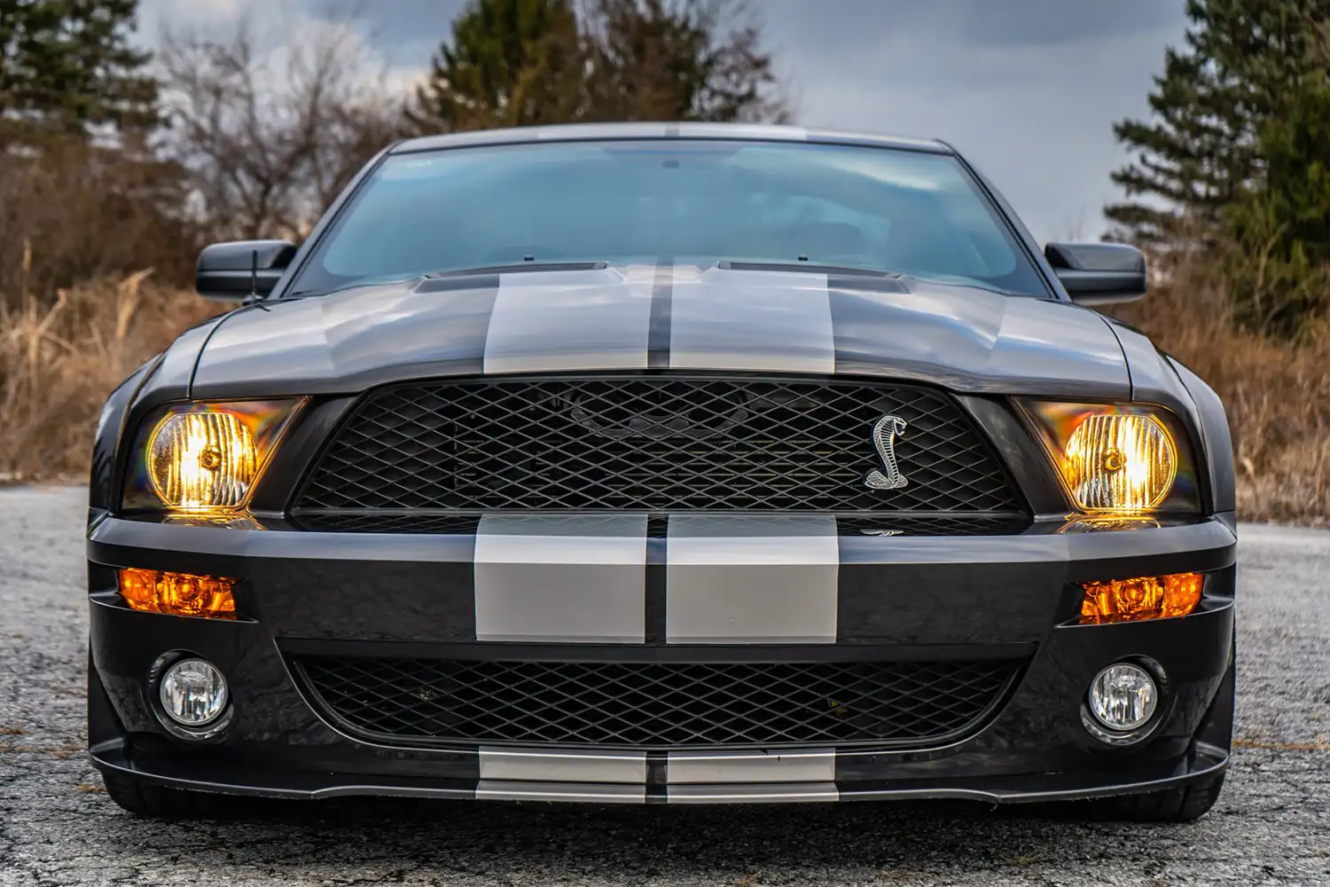 7,000 Miles of Excitement: 2007 Ford Mustang Shelby GT500