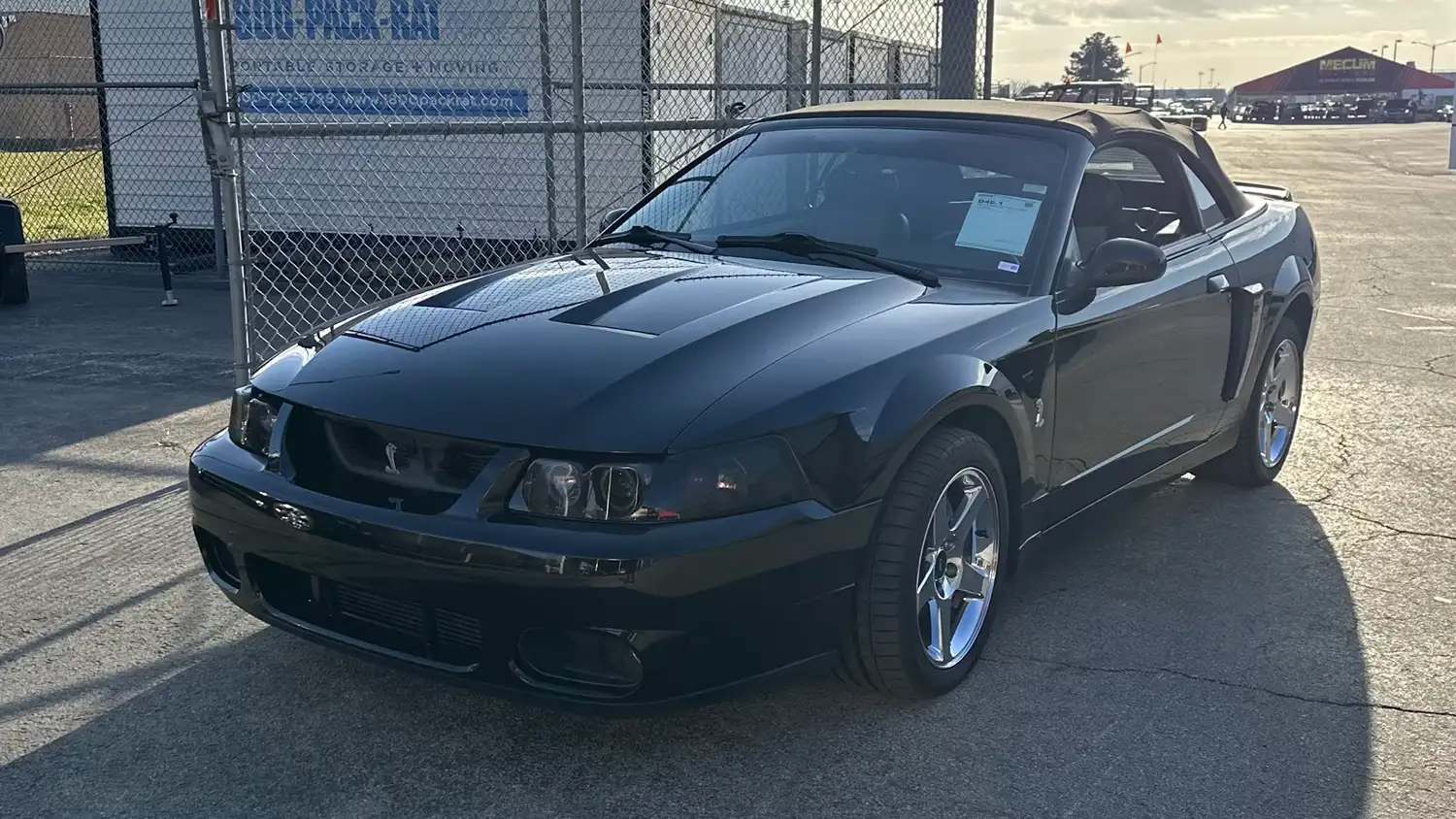 Open-Air Thunder: 2003 Ford Mustang SVT Cobra Convertible