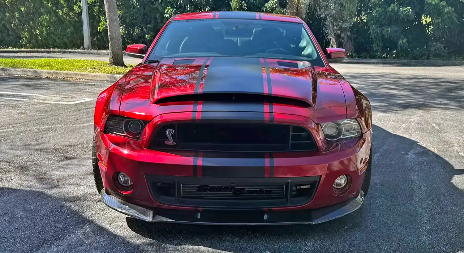 850 Horsepower of Fury: 2014 Ford Shelby GT500 Super Snake