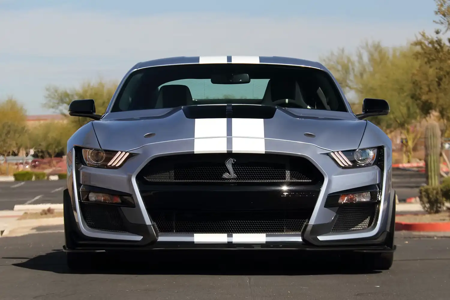 Blue Behemoth: A 2022 Ford Shelby GT500 Heritage Edition’s Track-Ready Triumph