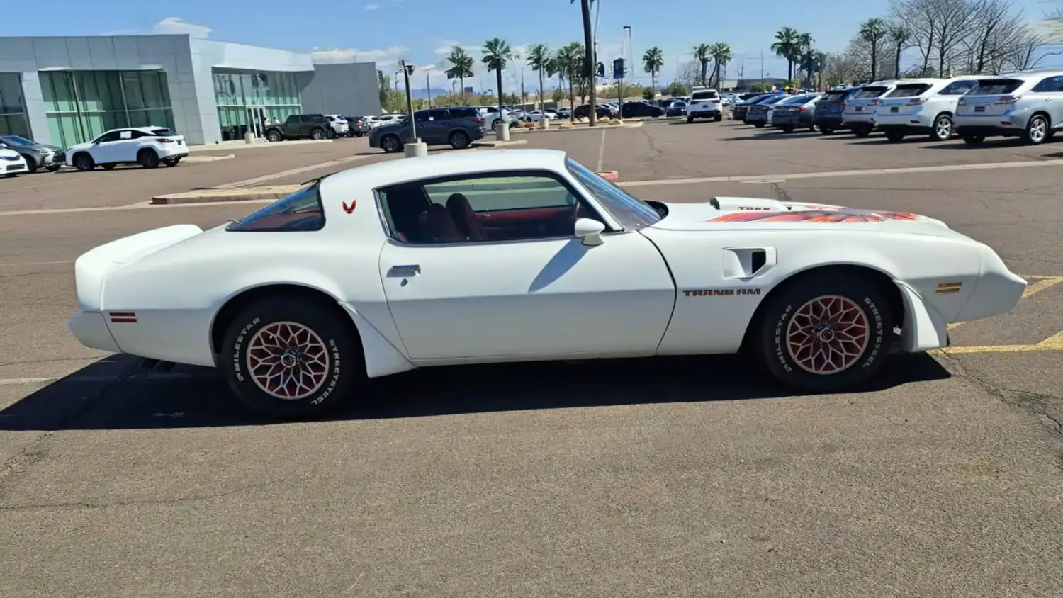 1979 Pontiac Trans Am: Where Muscle Meets Iconic Design