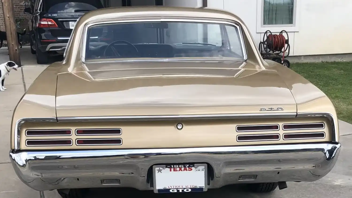 Gilded Gladiator: The 1967 Pontiac GTO, A Golden Tribute to Muscle Car Majesty