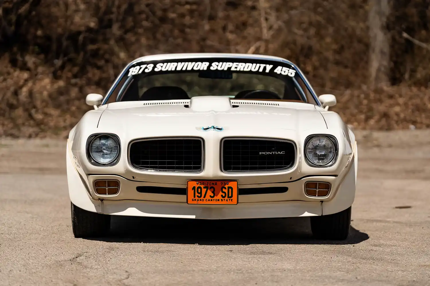 Untouched Power: The Unrestored 1973 Pontiac Trans Am Super Duty