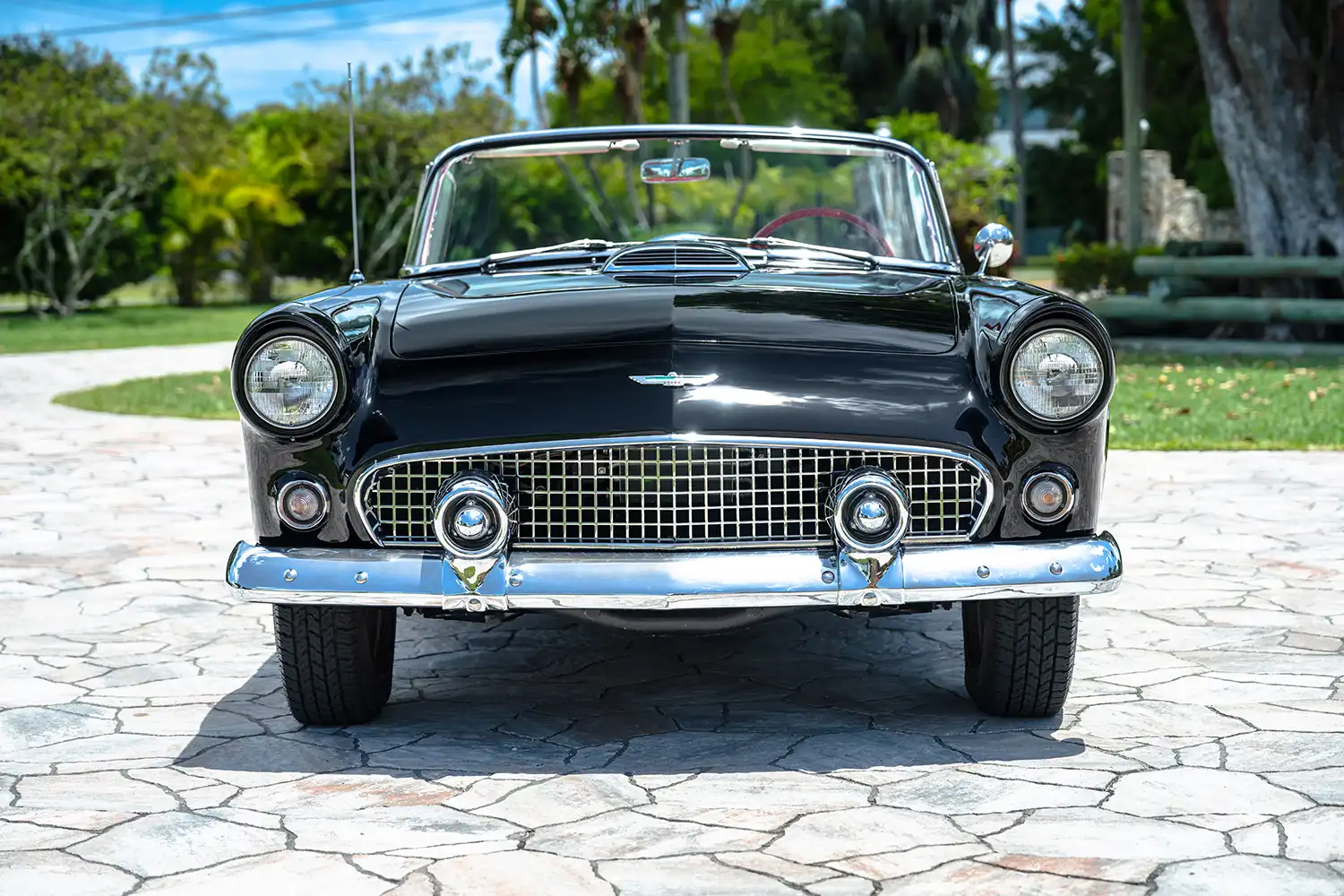1956 Ford Thunderbird