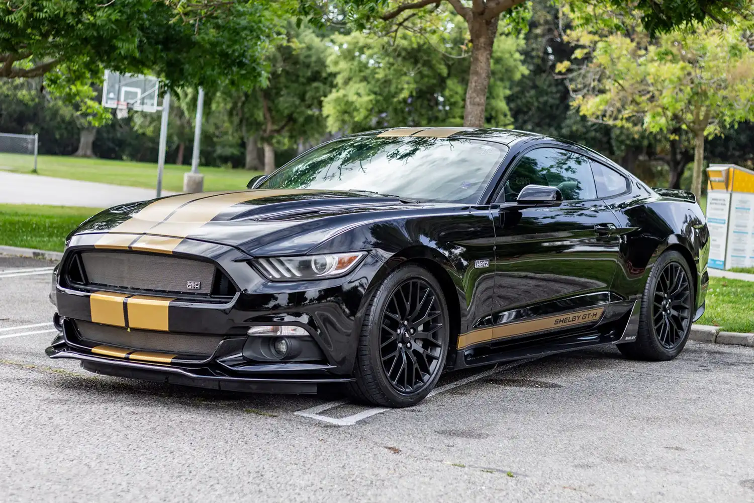 Discover the Power of the 2016 Ford Mustang Shelby GT-H Coupe Discover the Power of the 2016 Ford Mustang Shelby GT-H Coupe