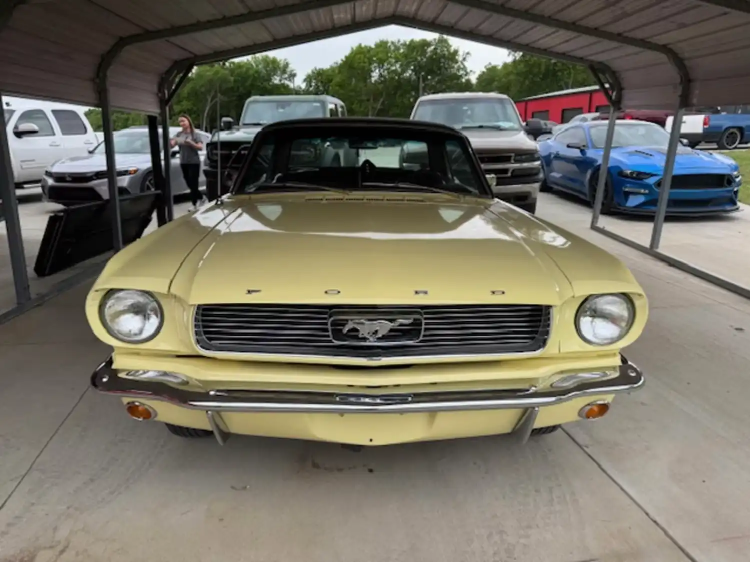 Restored Icon: The 1966 Ford Mustang Sprint Coupe
