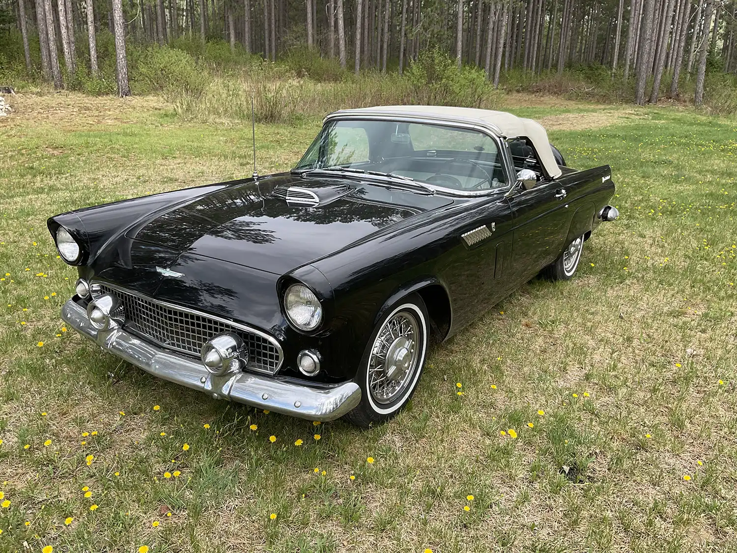 1956 Ford Thunderbird