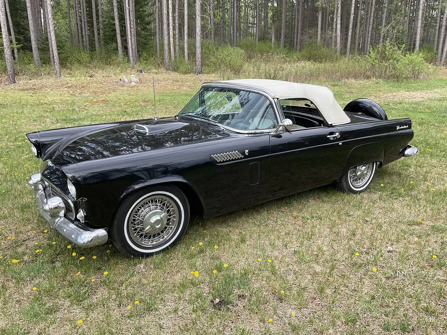 1956 Ford Thunderbird