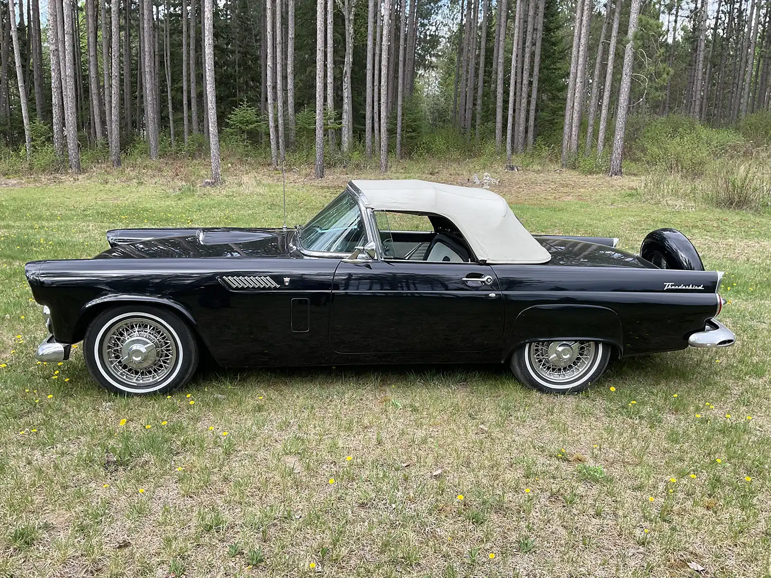 1956 Ford Thunderbird