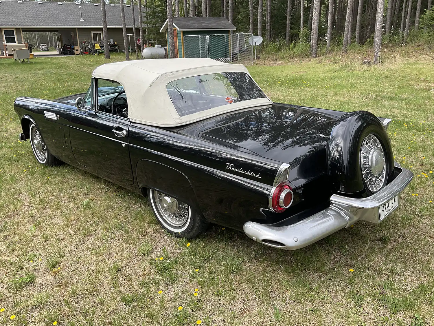 1956 Ford Thunderbird