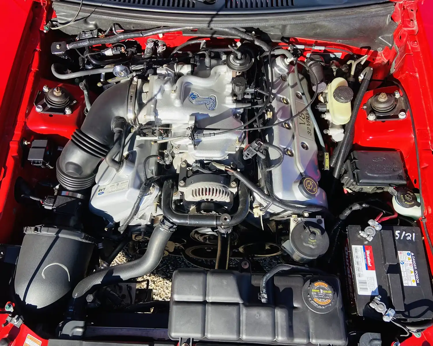 1999 Ford Mustang SVT Cobra Convertible