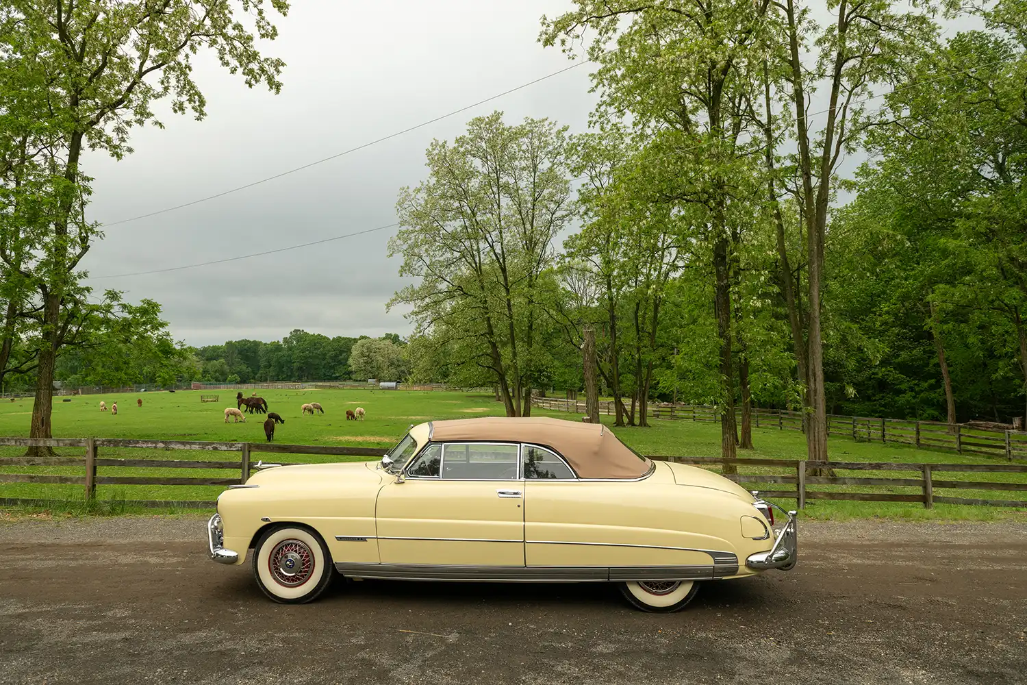 1950 Hudson Custom Commodore Six Convertible