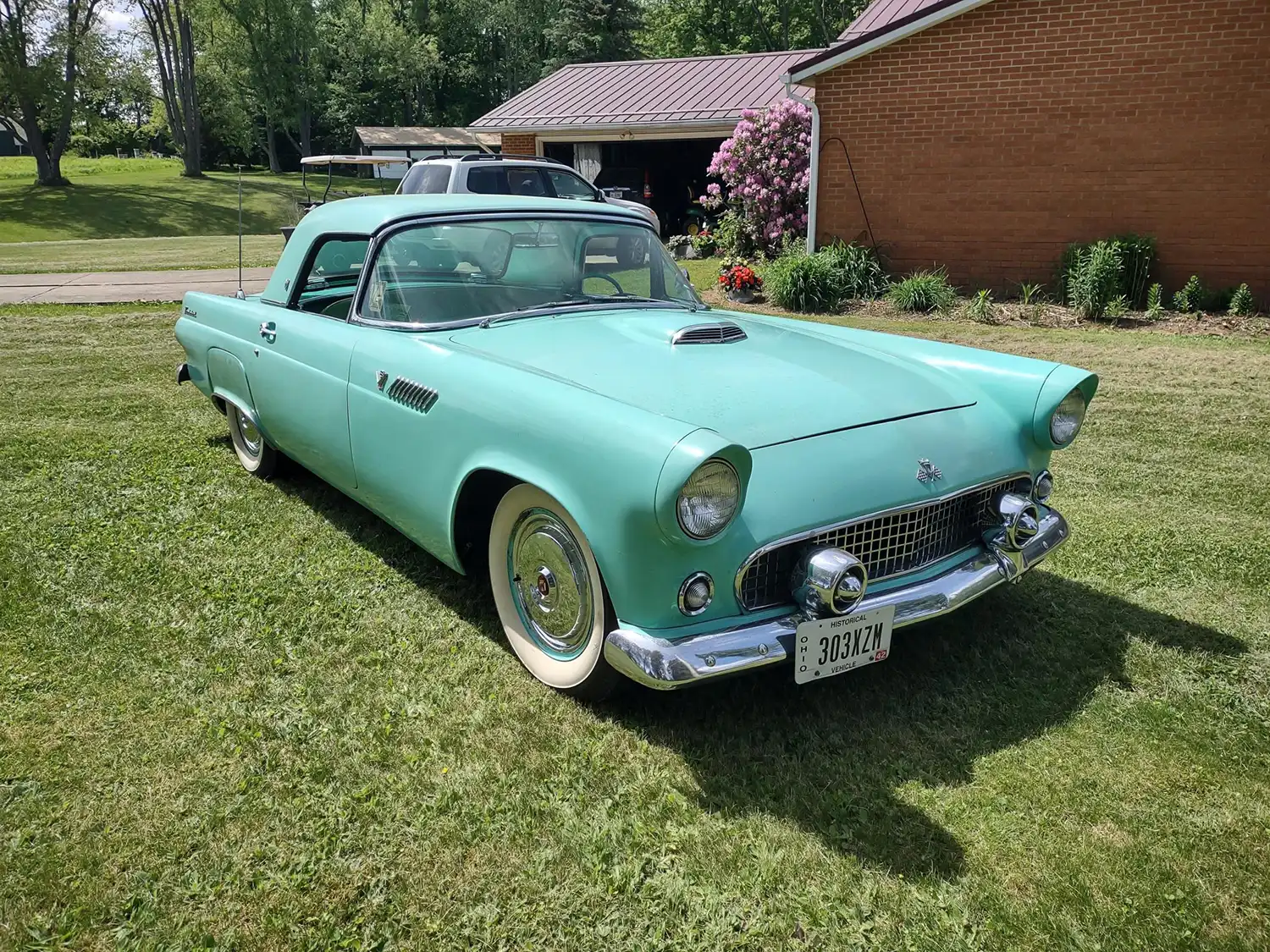 Journey Through Time with a Magnificent 1955 Ford Thunderbird