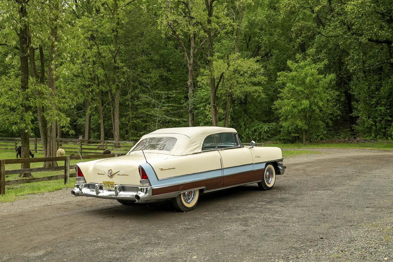 1956 Packard Caribbean Convertible