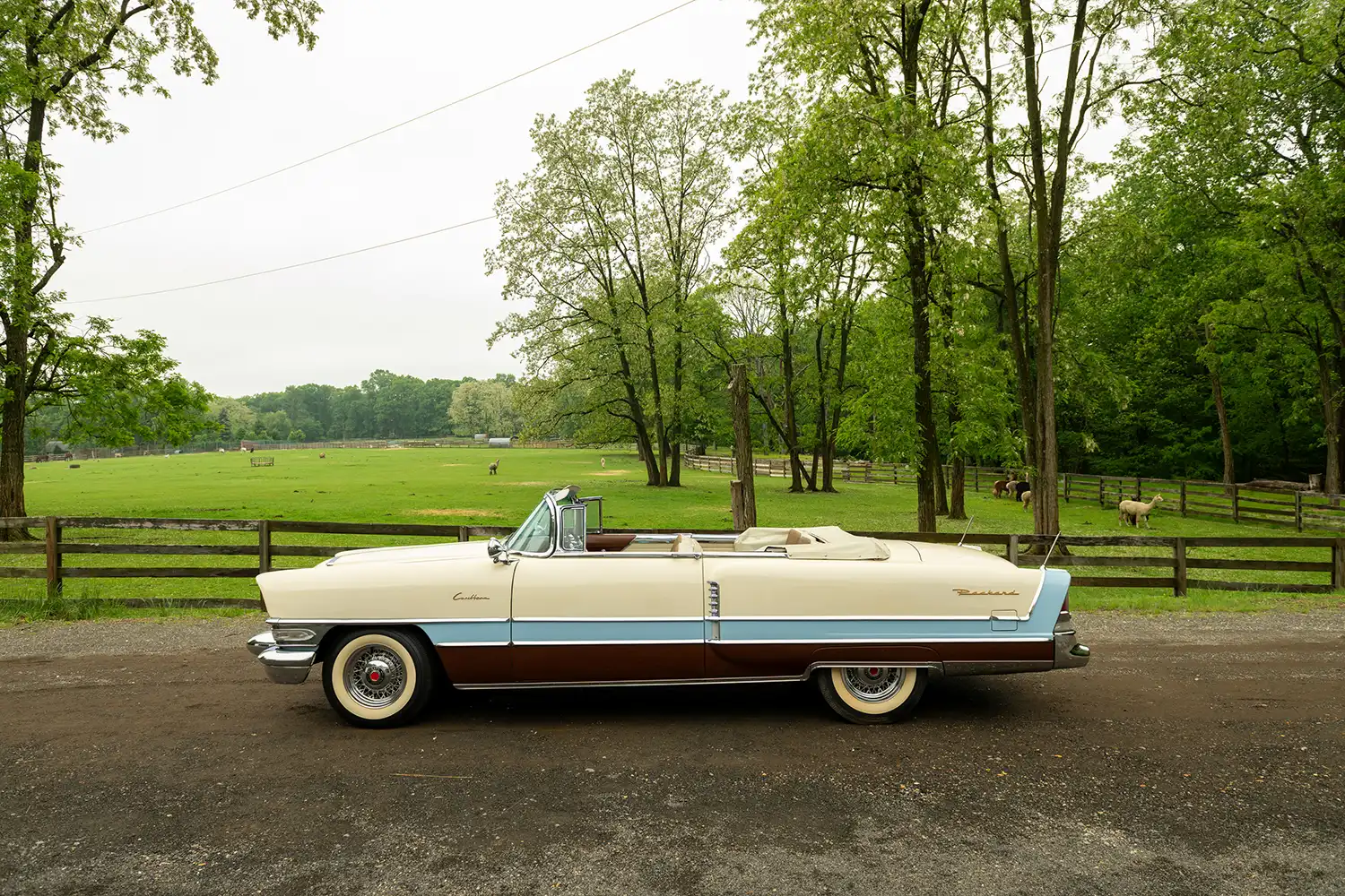 1956 Packard Caribbean Convertible