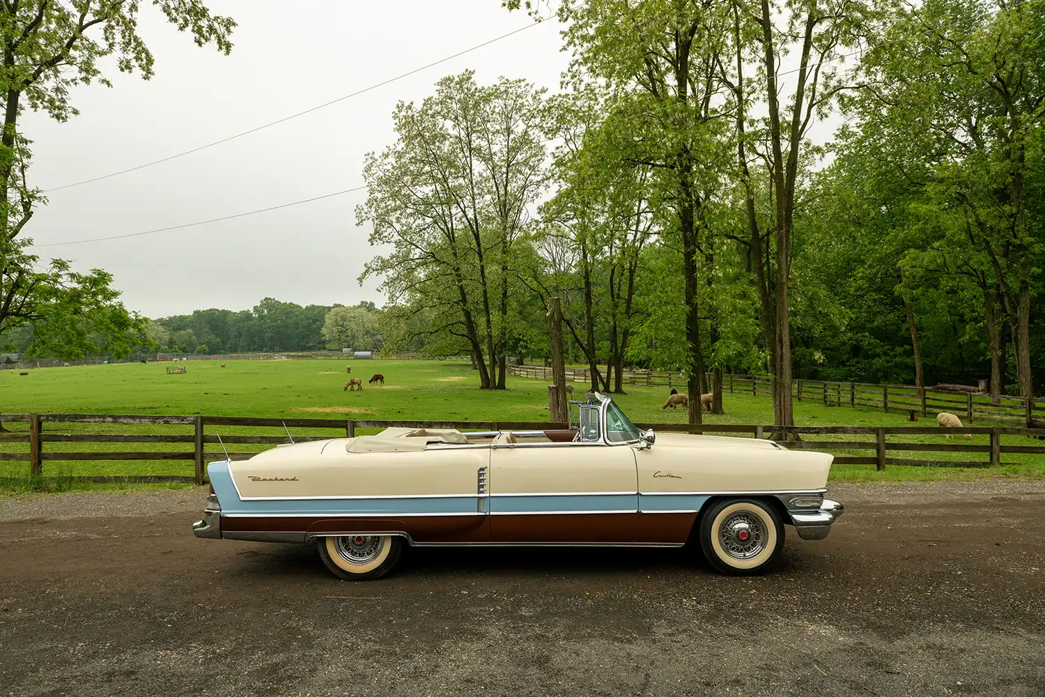 1956 Packard Caribbean Convertible