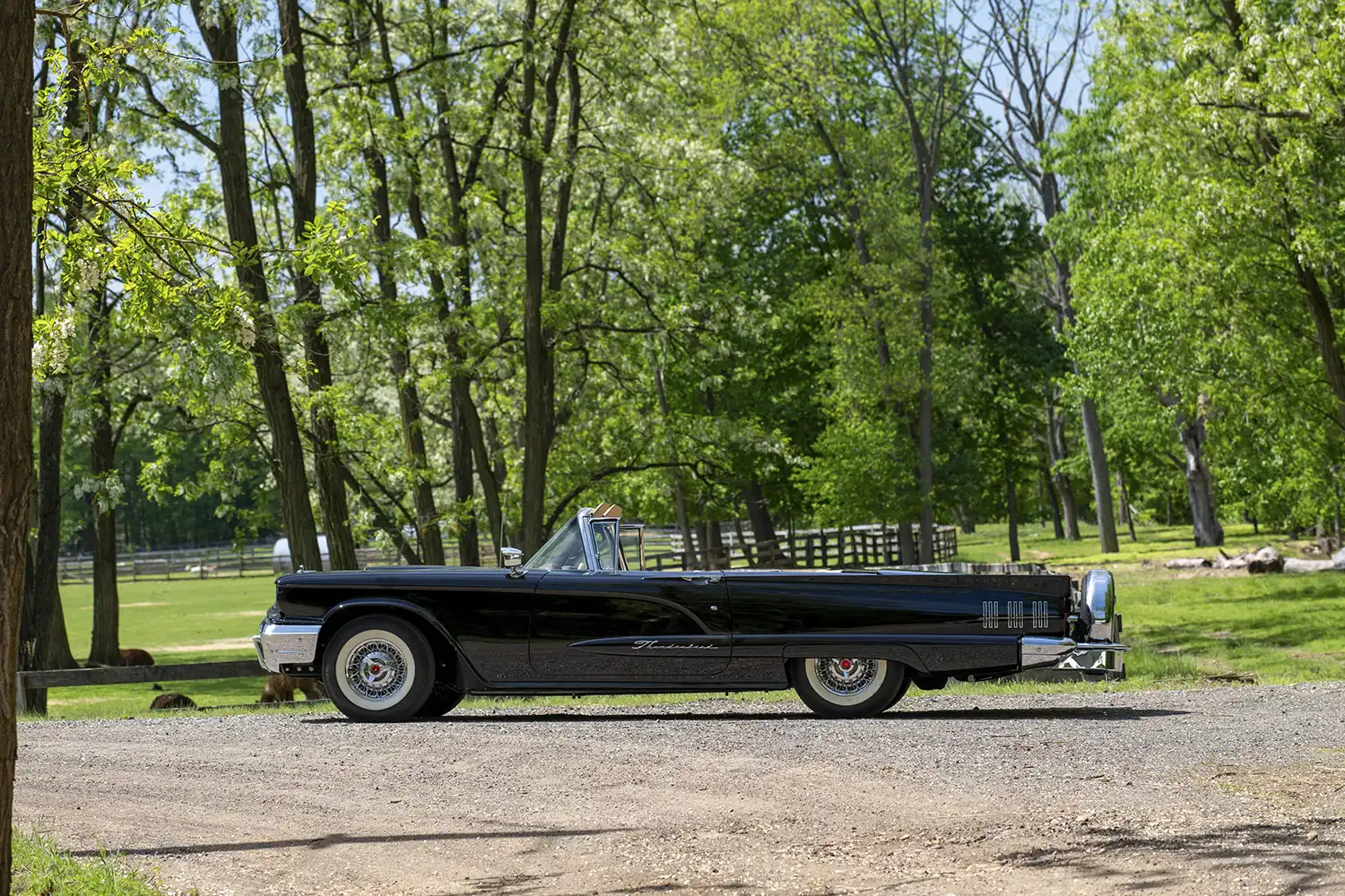 1960 Ford Thunderbird Convertible