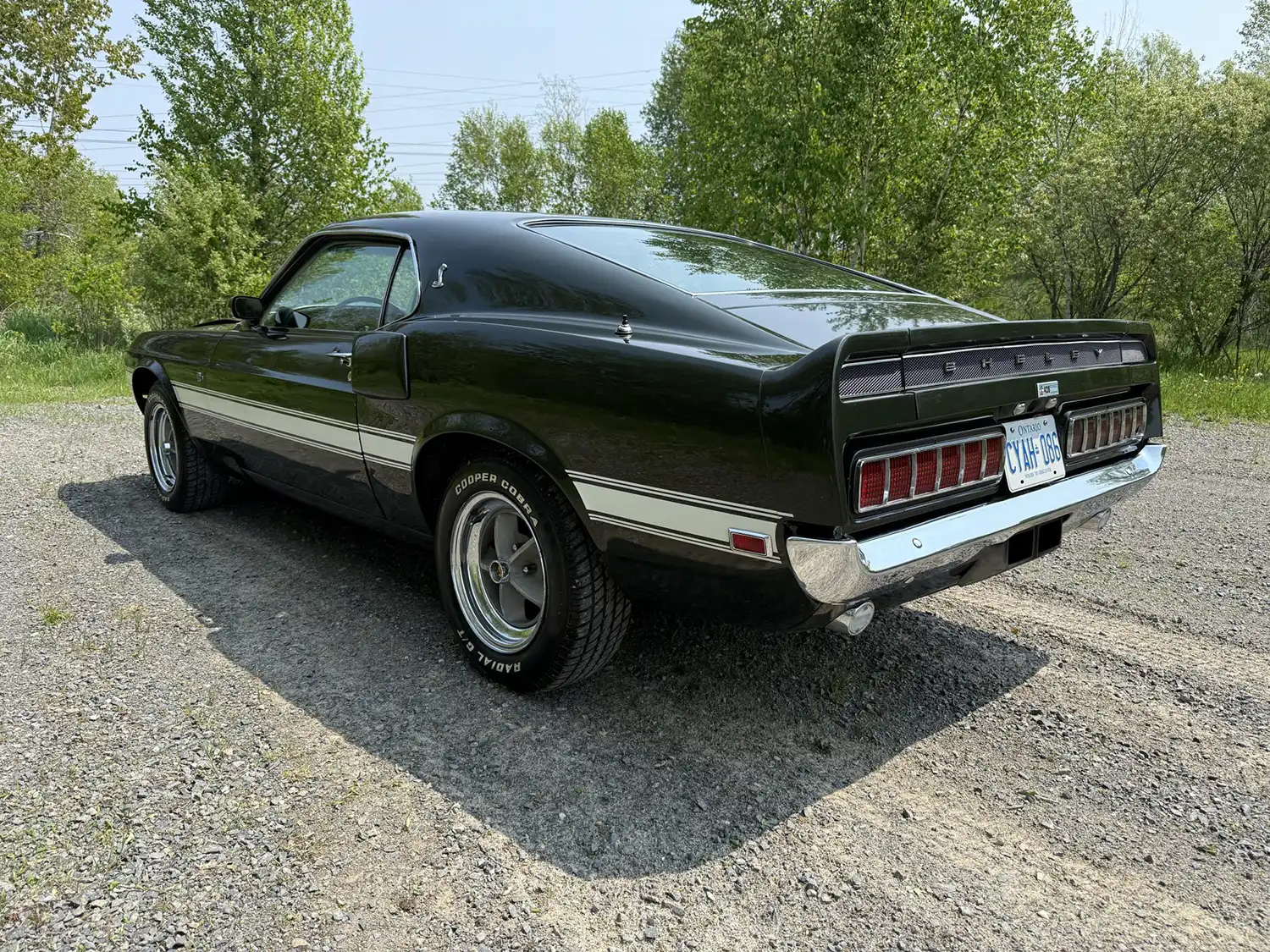 1969 Shelby GT500 Fastback