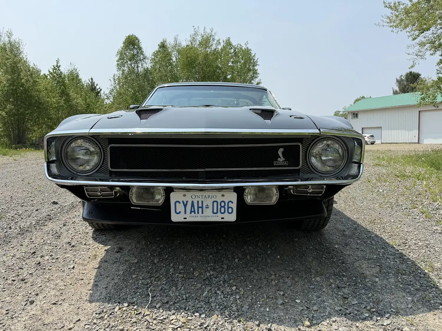 1969 Shelby GT500 Fastback