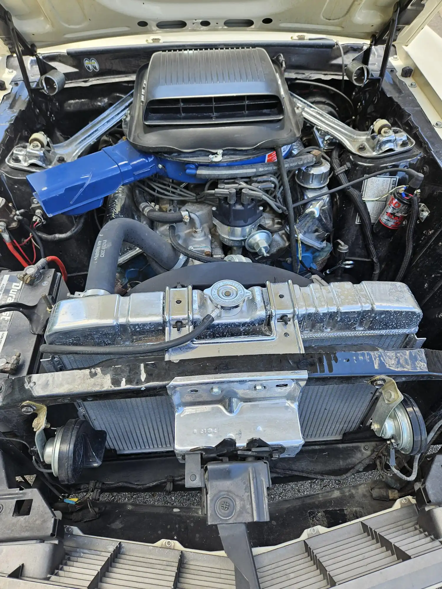 1970 Ford Mustang Mach 1 428