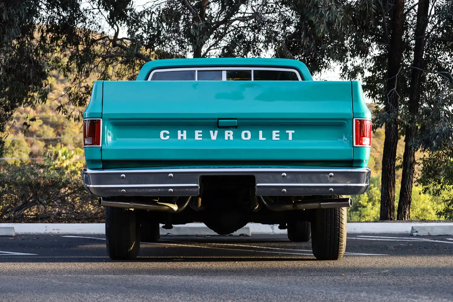 1973 Chevrolet C10