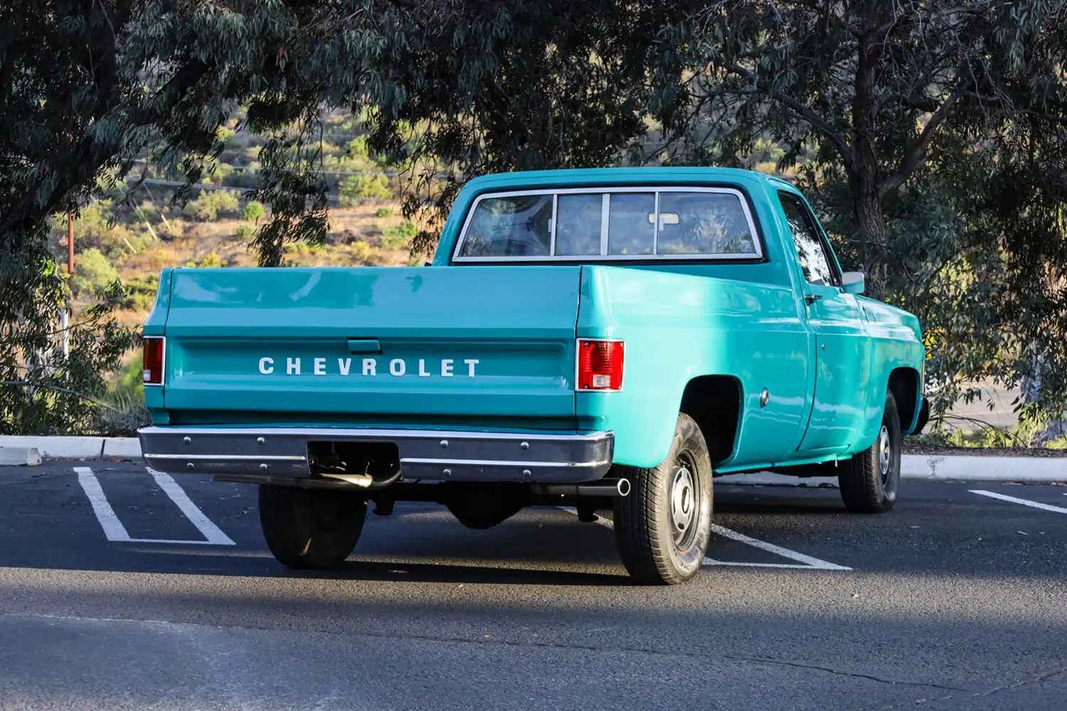 1973 Chevrolet C10