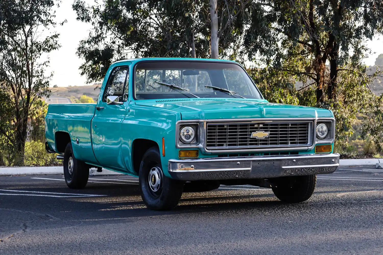 1973 Chevrolet C10