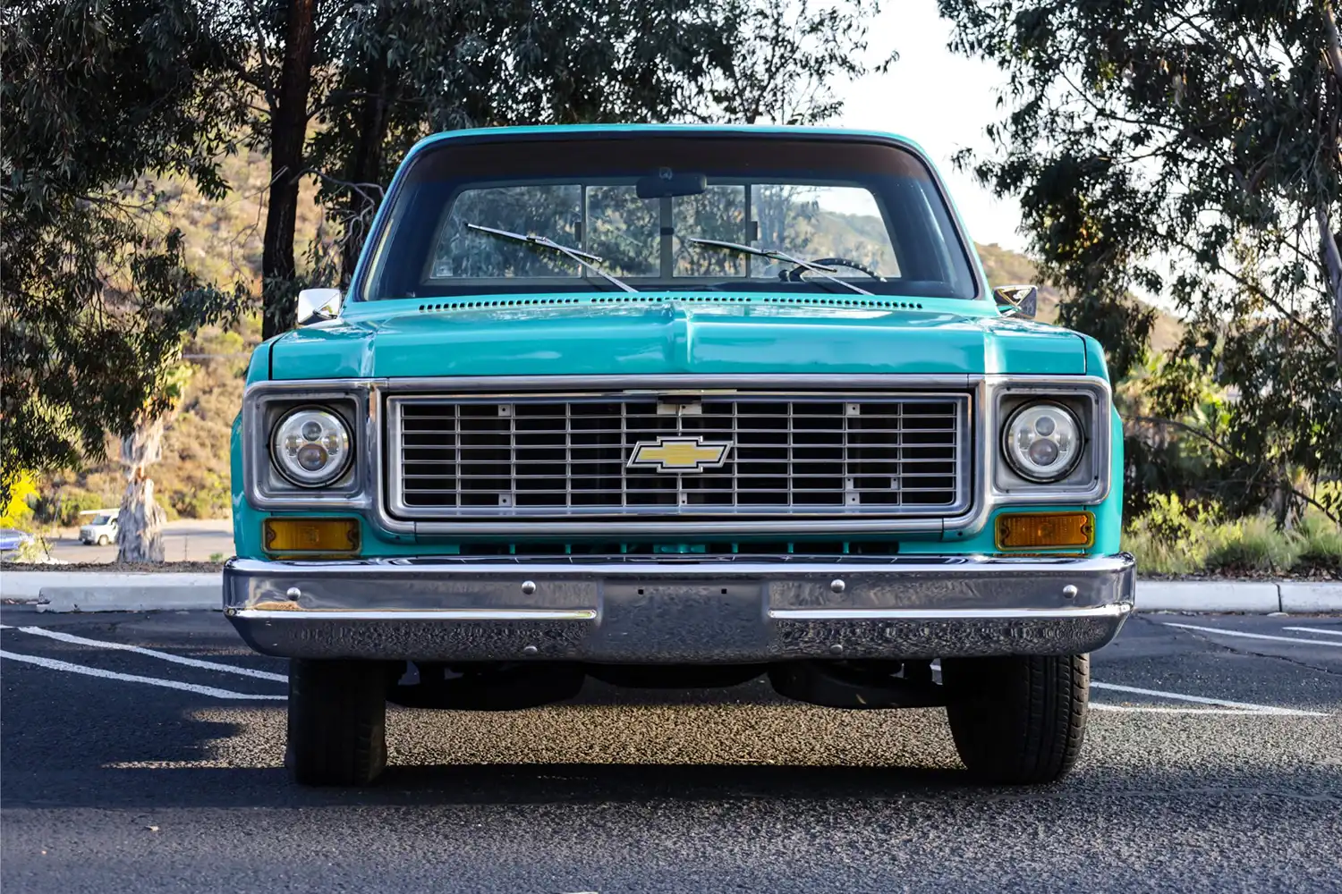 1973 Chevrolet C10