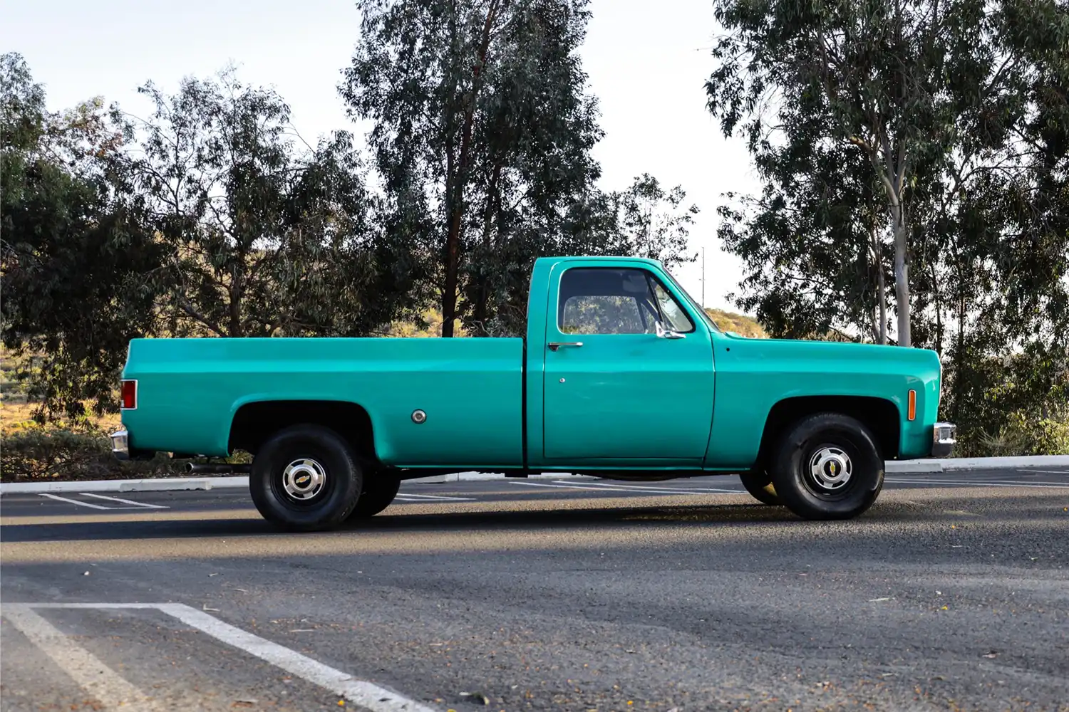1973 Chevrolet C10