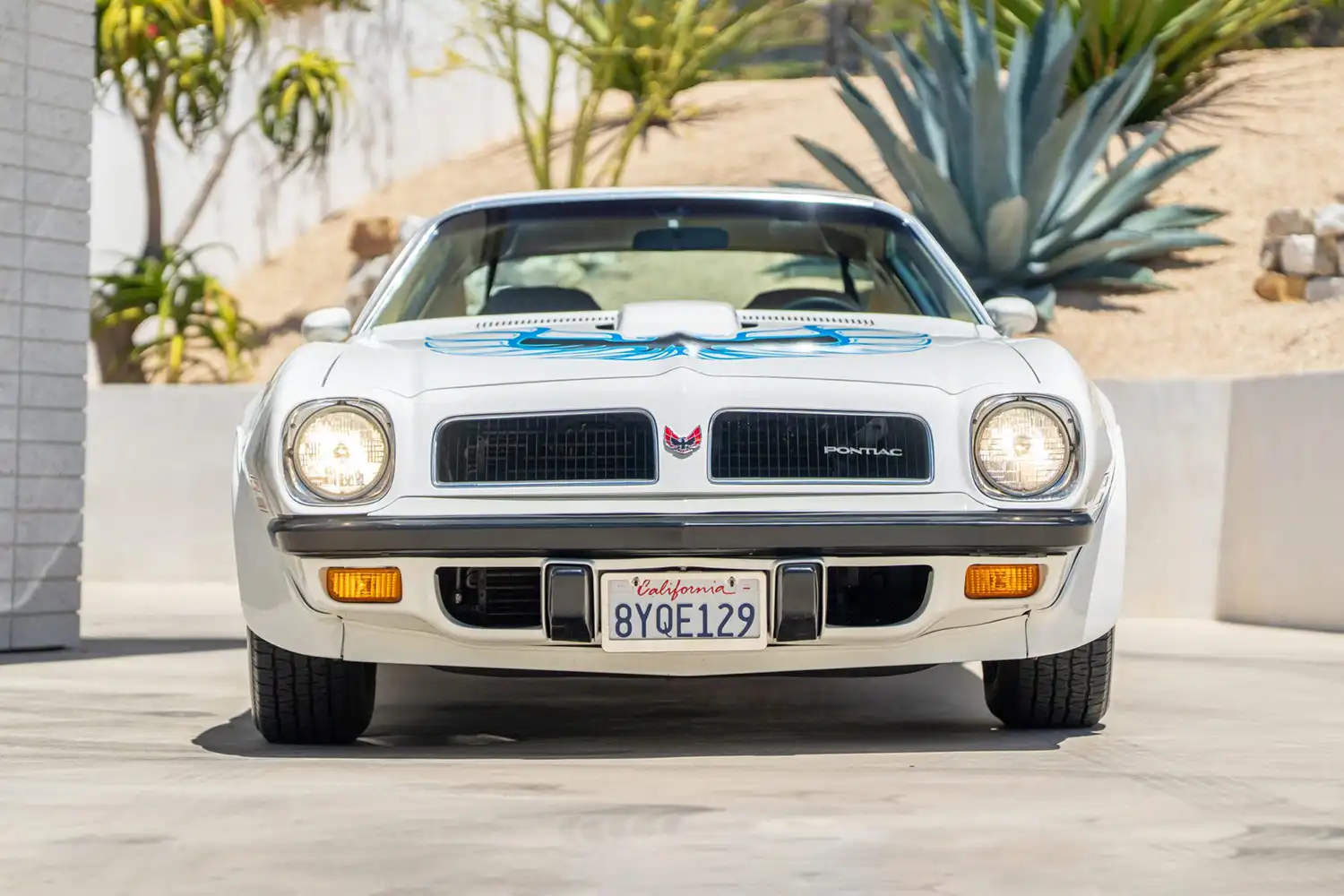 1974 Pontiac Firebird Trans Am