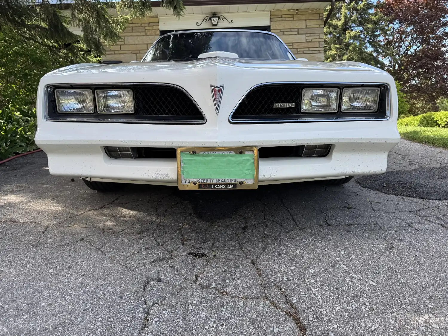 1978 Pontiac Firebird Trans Am