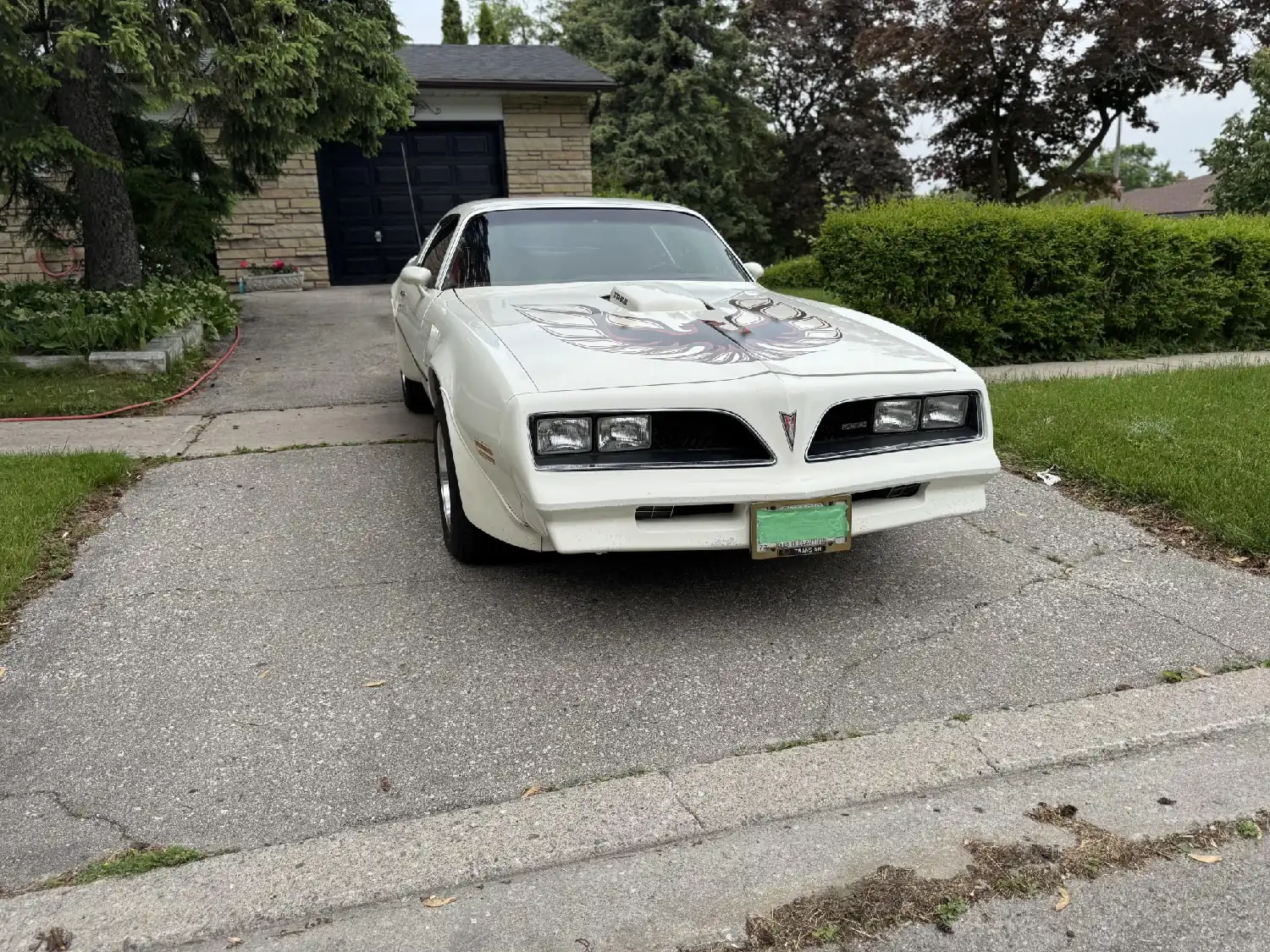 1978 Pontiac Firebird Trans Am