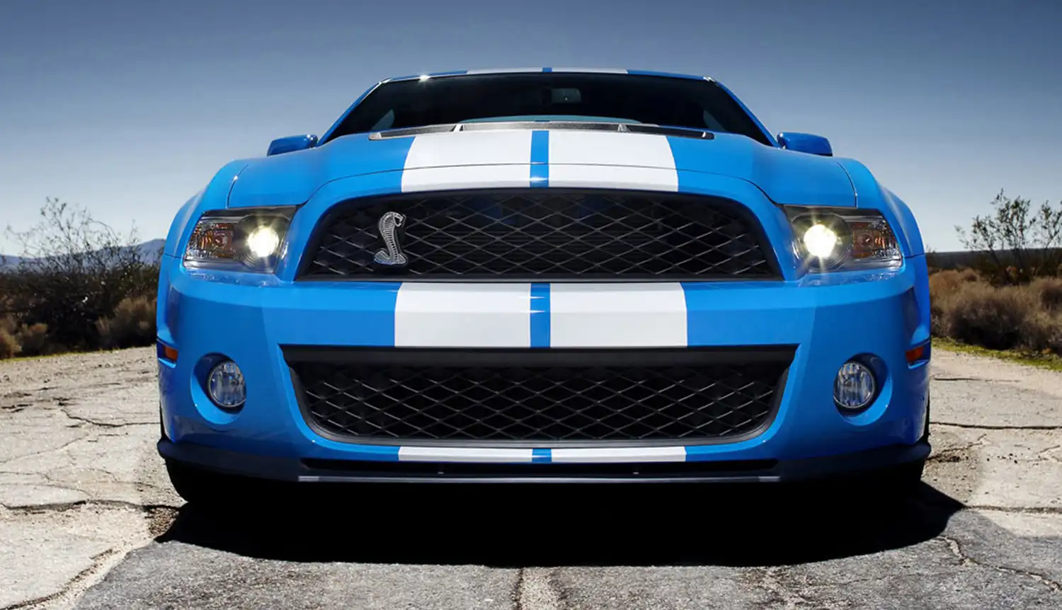 2010 Ford Mustang Shelby GT500