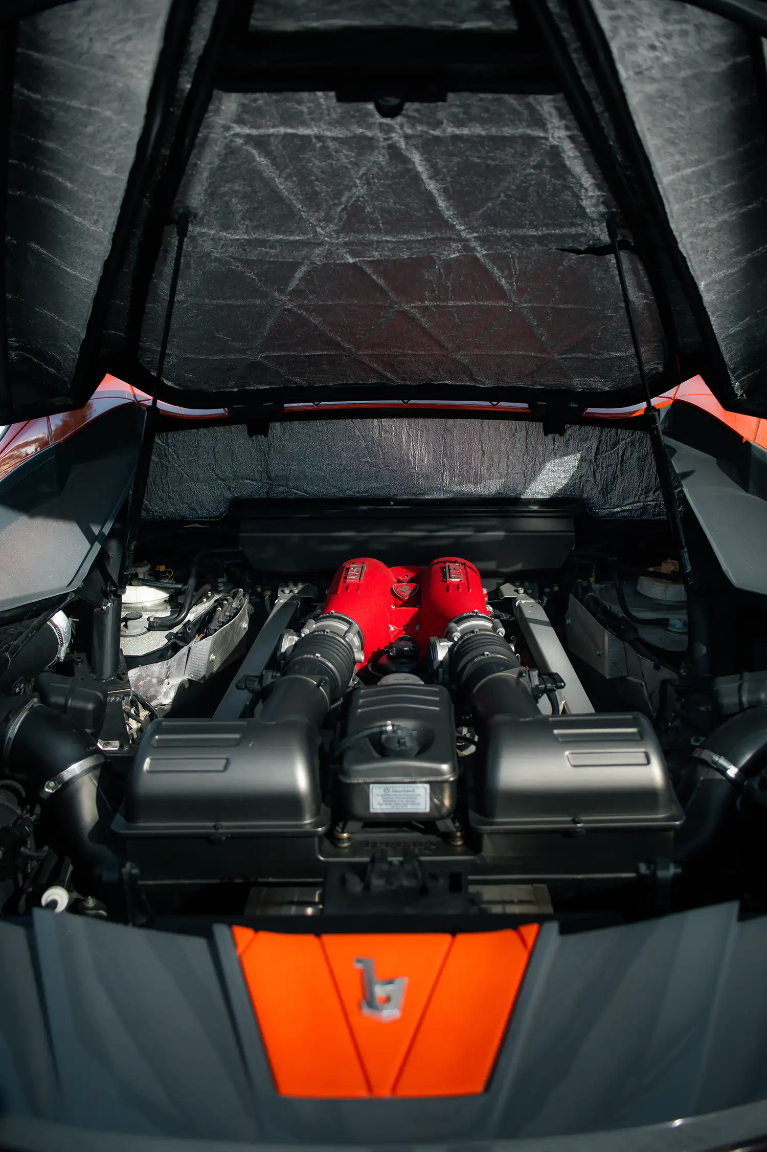 2012 Bertone Nuccio