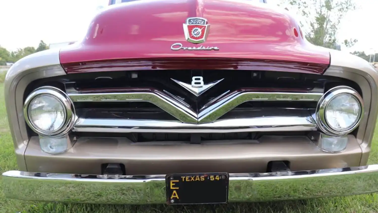 1954 Ford F100